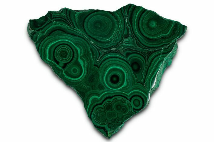 Flowery Polished Malachite Slab - DR Congo #350821